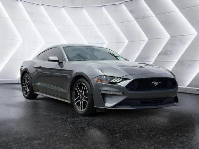 2021 Ford Mustang EcoBoost Fastback for sale in Albuquerque, NM