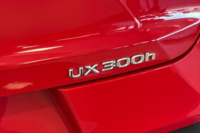 2025 Lexus 300 UX 300h