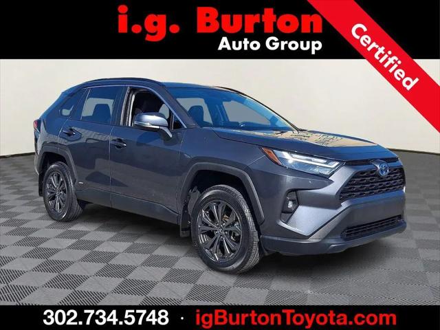 2024 Toyota RAV4 Hybrid XLE Premium for sale in Dover, DE