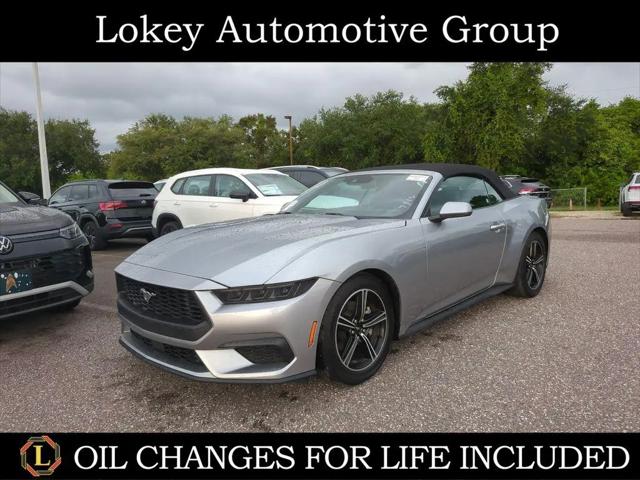 2025 Ford Mustang EcoBoost Premium Convertible for sale in Clearwater, FL