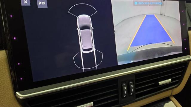 2021 Porsche Cayenne Cayenne