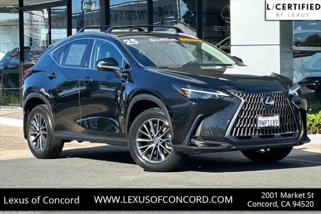 2025 Lexus NX 350h Premium for sale in Concord, CA