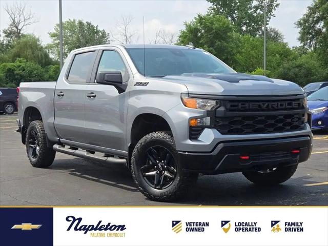 2023 Chevrolet Silverado 1500 4WD Crew Cab Short Bed Custom Trail Boss for sale in Palatine, IL