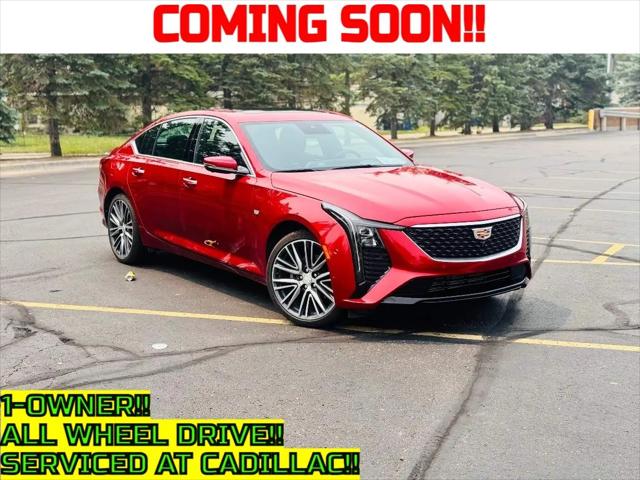 2025 Cadillac CT5 Premium Luxury RWD for sale in Detroit, MI