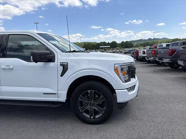 2023 Ford F-150 XLT 2023 Ford F-150 XLT