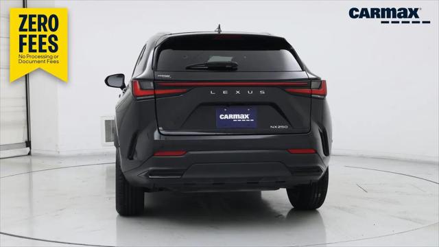 2024 Lexus NX Premium
