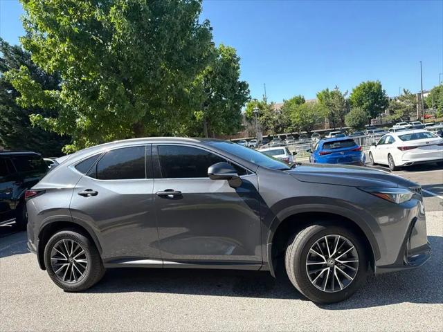 2025 Lexus NX Premium