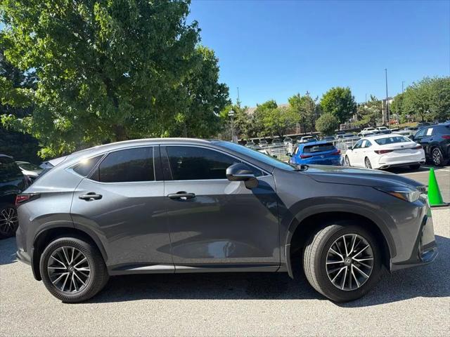 2025 Lexus NX Premium
