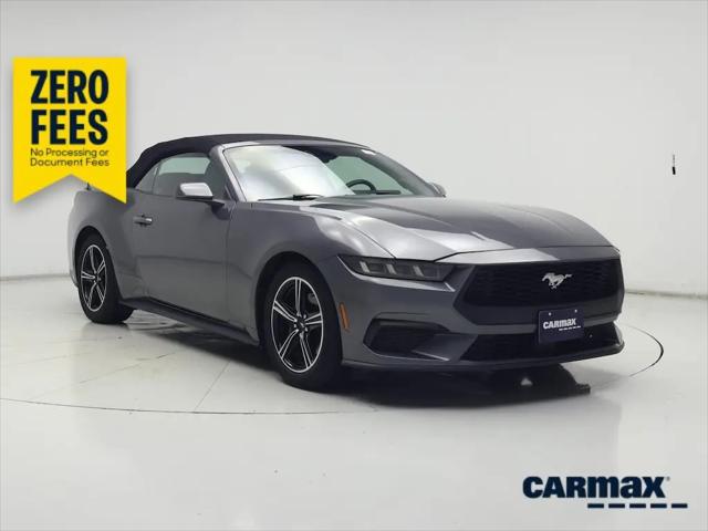 2024 Ford Mustang EcoBoost Premium Convertible for sale in Houston, TX