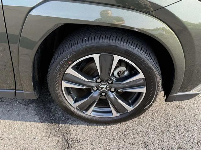 2025 Lexus 300 Premium