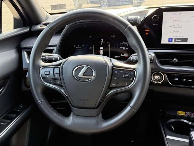 2025 Lexus 300 Premium