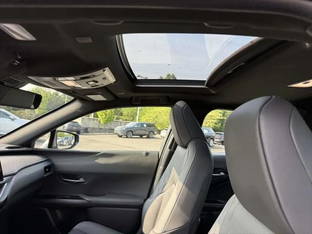 2025 Lexus 300 Premium