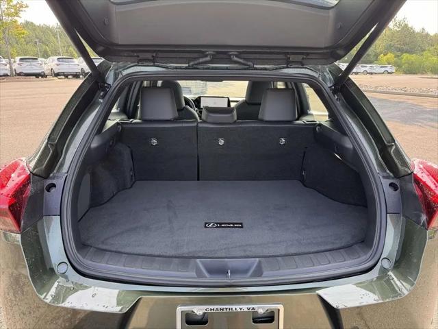 2025 Lexus 300 Premium