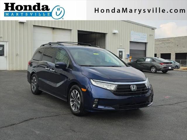 2022 Honda Odyssey for sale near Marysville, OH
