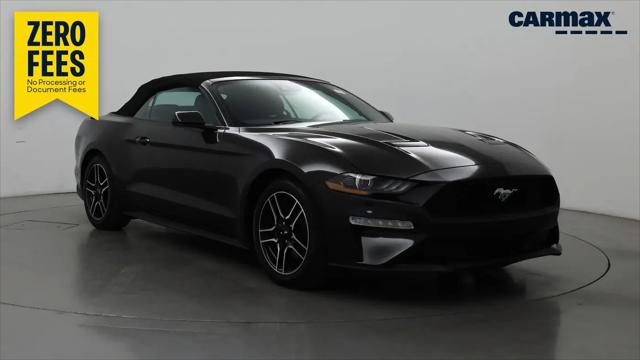 2023 Ford Mustang EcoBoost Convertible for sale in Tampa, FL