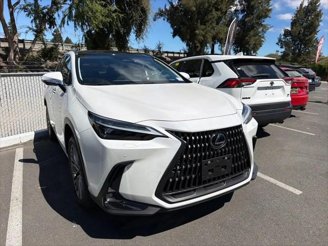 2024 Lexus NX 350 Luxury for sale in Concord, CA