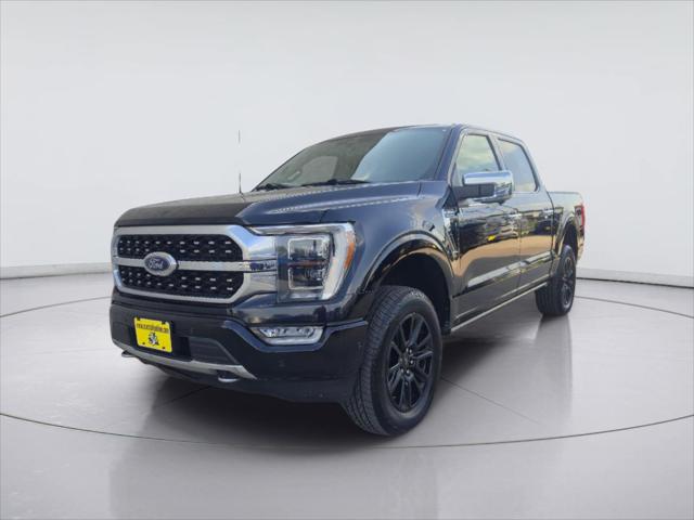 2023 Ford F-150 Platinum for sale in Georgetown, TX