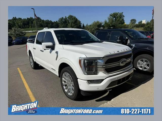 2023 Ford F-150 Limited for sale in Brighton, MI