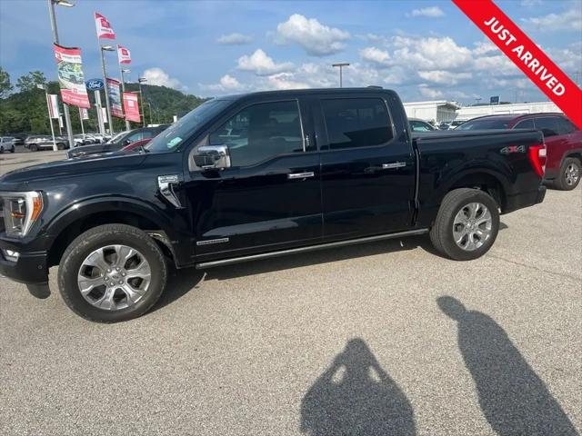 2021 Ford F-150 Platinum for sale in Charleston, WV