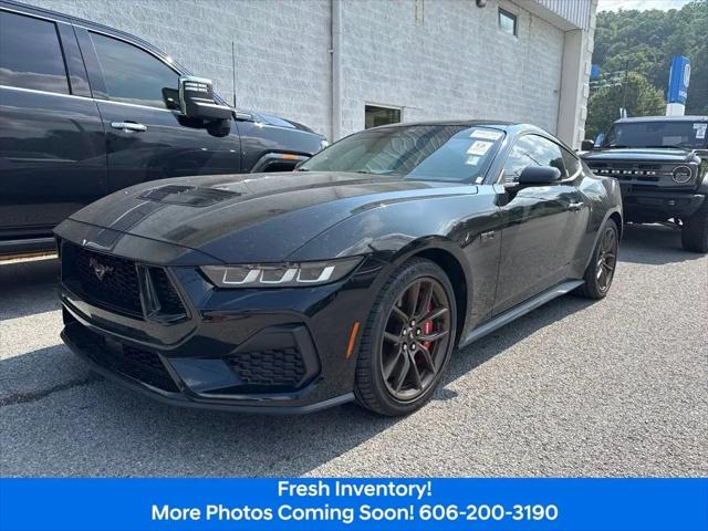 2024 Ford Mustang GT Premium Fastback for sale in Ivel, KY