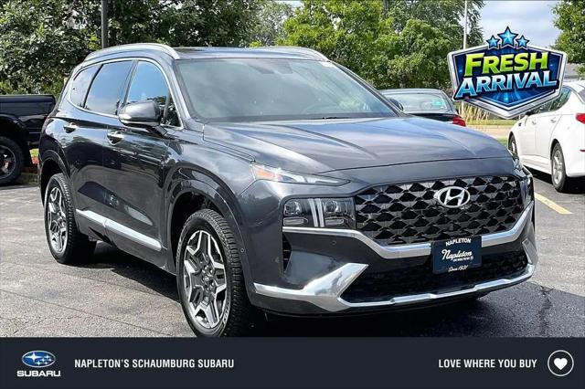 2021 Hyundai Santa Fe Calligraphy for sale in Schaumburg, IL