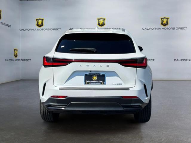 2024 Lexus NX 250