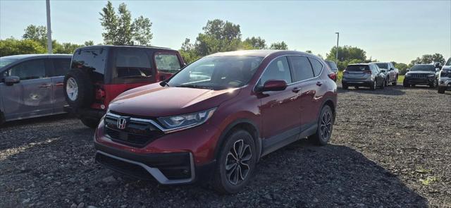 2021 Honda CR-V AWD EX-L for sale in Monroe, MI