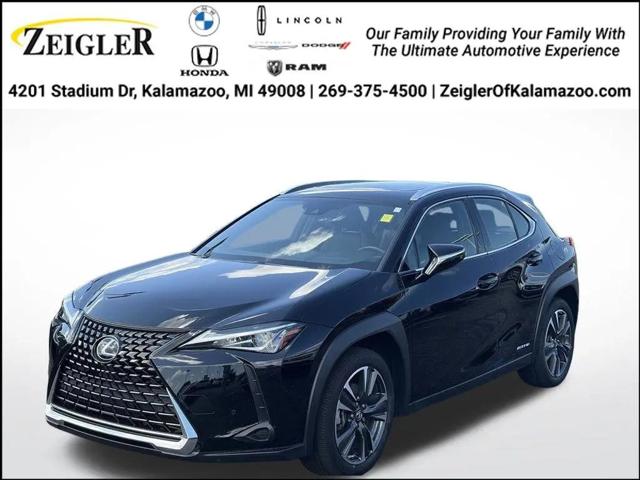 2019 Lexus UX 250h Base for sale in Kalamazoo, MI