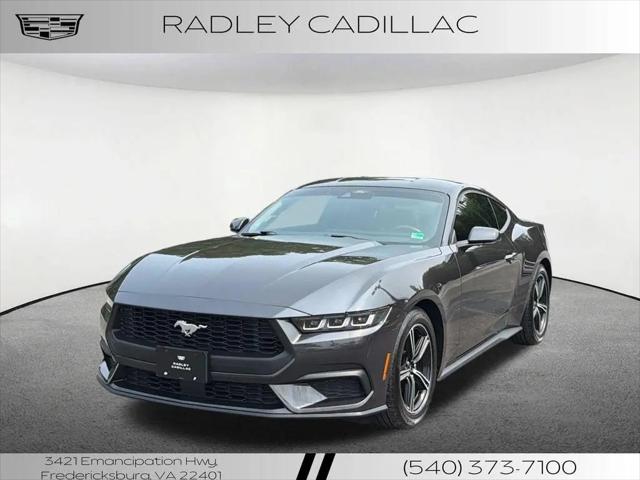2024 Ford Mustang EcoBoost Fastback for sale in Fredericksburg, VA