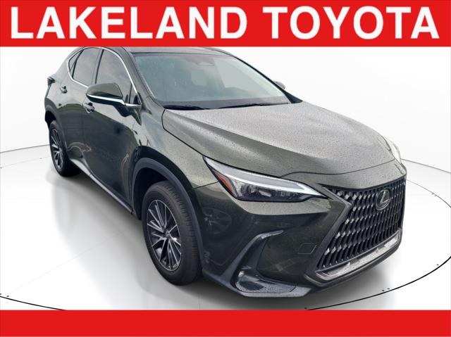 2024 Lexus NX NX 250 for sale in Lakeland, FL