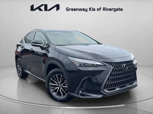 2024 Lexus NX Premium for sale in Madison, TN