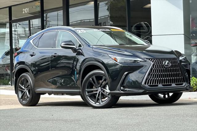 2025 Lexus NX Luxury