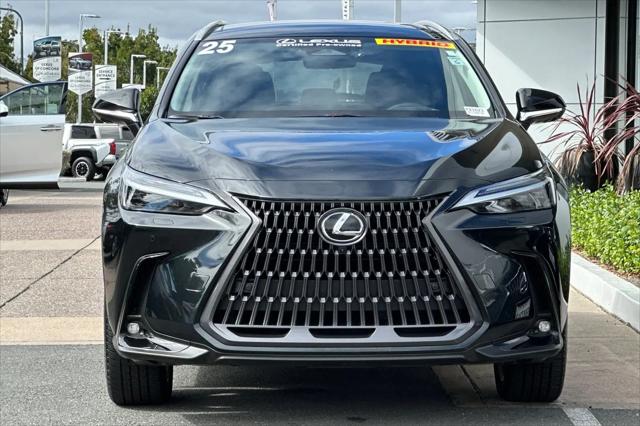 2025 Lexus NX Luxury