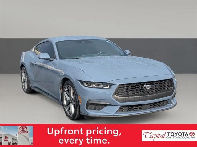 2024 Ford Mustang EcoBoost Fastback for sale in Chattanooga, TN