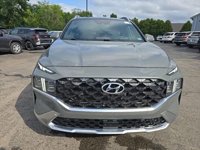 2023 Hyundai Santa Fe Calligraphy 2023 Hyundai Santa Fe Calligraphy