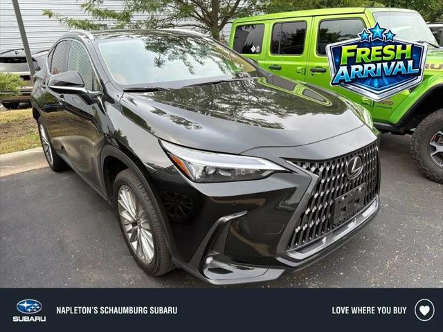 2025 Lexus NX 350 Premium for sale in Schaumburg, IL