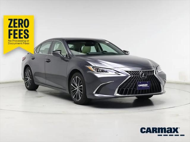 2022 Lexus ES 350 Luxury for sale in Schaumburg, IL