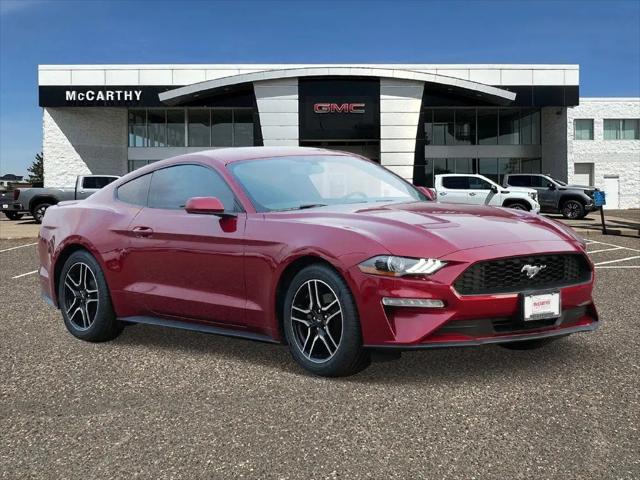 2019 Ford Mustang EcoBoost for sale in Coon Rapids, MN