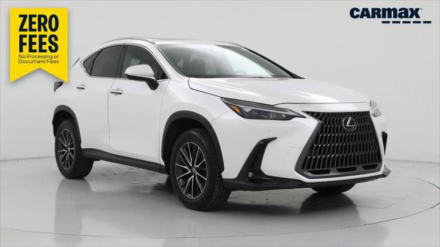 2024 Lexus NX Premium for sale in Tampa, FL