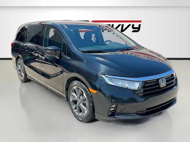 2021 Honda Odyssey Elite for sale in Windsor, CO