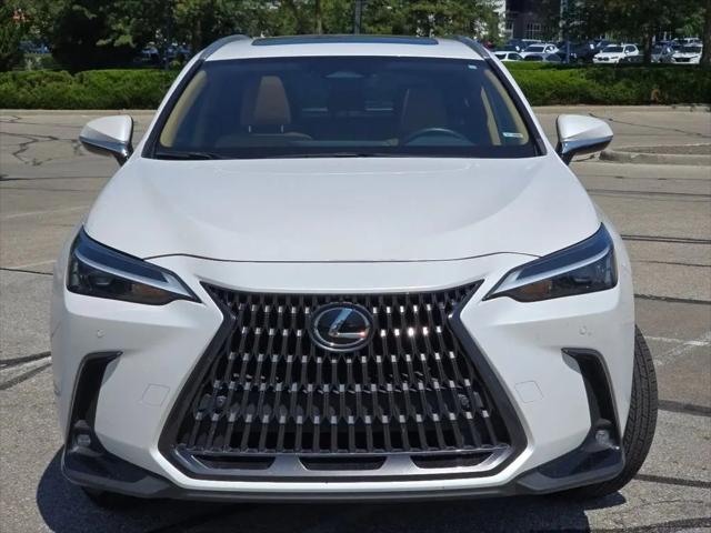 2025 Lexus NX Premium