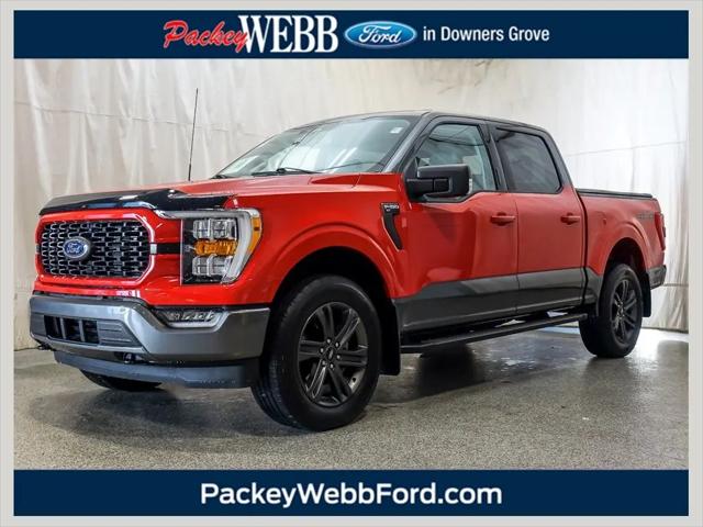 2023 Ford F-150 XLT for sale in Downers Grove, IL