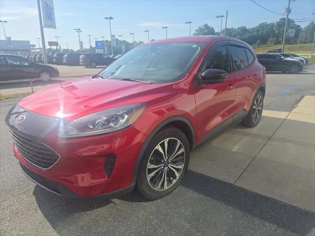 2022 Ford Escape SE for sale in Albany, GA