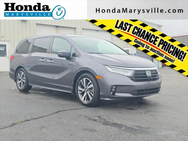 2021 Honda Odyssey Touring for sale in Marysville, OH