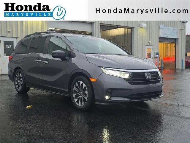 2024 Honda Odyssey EX-L for sale in Marysville, OH