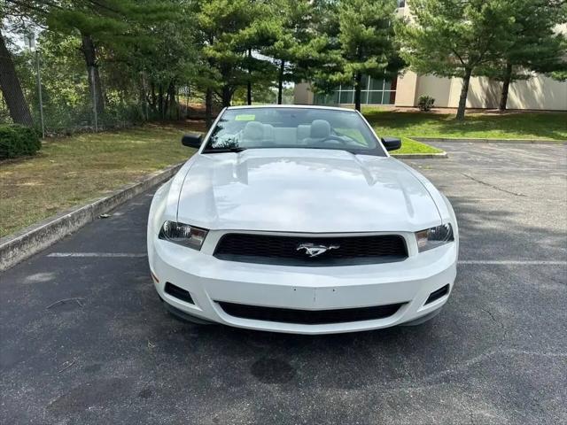 2010 Ford Mustang V6 for sale in Dedham, MA