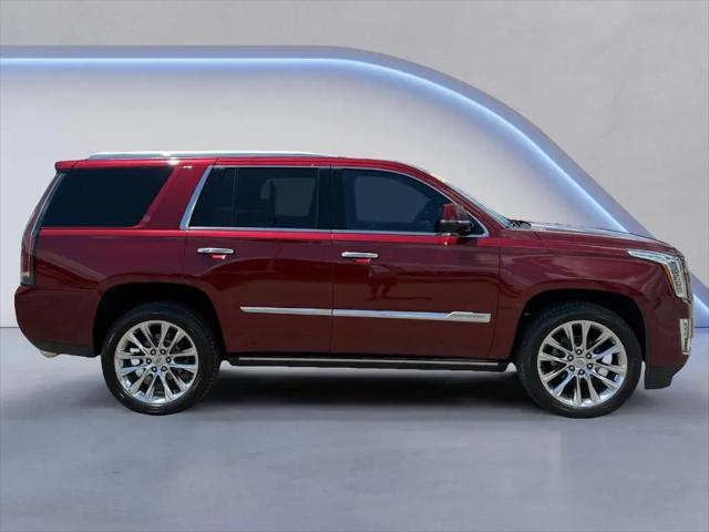 2019 Cadillac Escalade Platinum for sale in Knoxville, TN