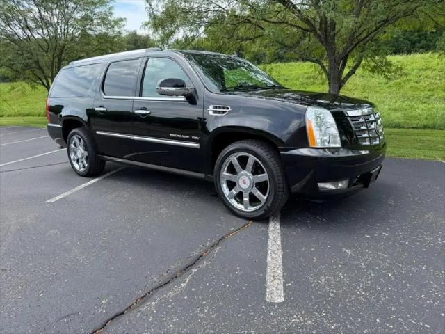 2010 Cadillac Escalade ESV Premium for sale in Louisville, KY
