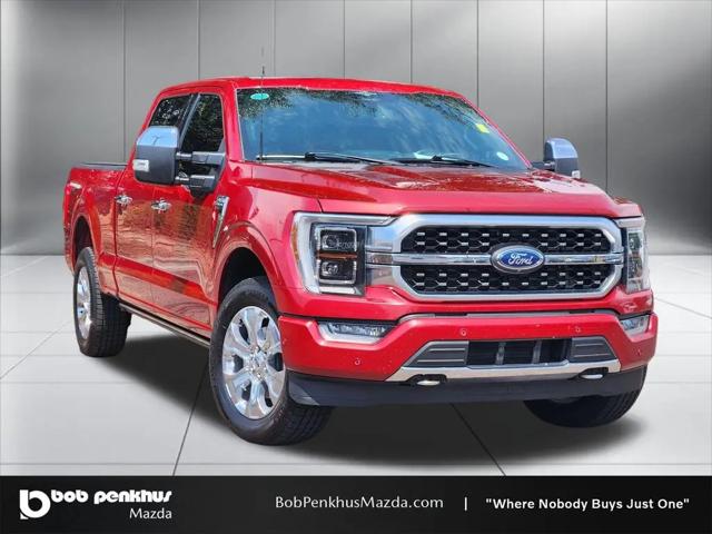 2023 Ford F-150 Platinum for sale in Colorado Springs, CO
