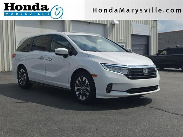 2024 Honda Odyssey EX-L for sale in Marysville, OH